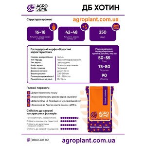 Кукурудза ДБ Хотин Агро Семе