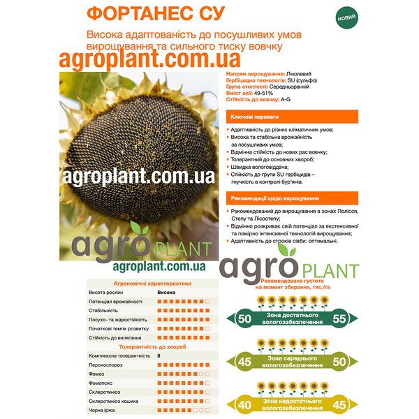 КВС Фортанес – лінолевий соняшник KWS (SU), олійність 49–51%