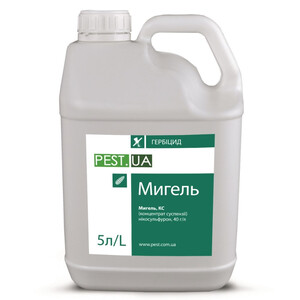 Мигель