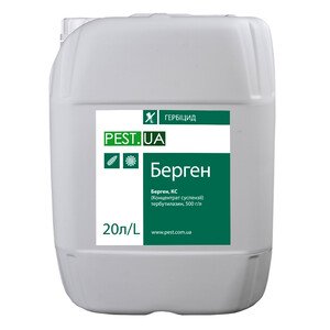 Берген