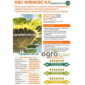 Флексес