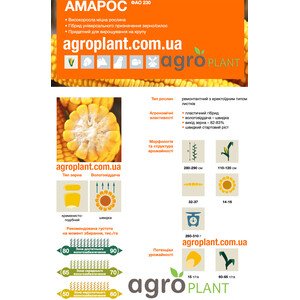 Кукурудза Амарос
