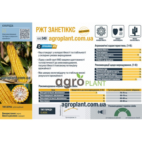 РЖТ Занетіккс – високопродуктивний гібрид кукурудзи ФАО 340 з унікальною холодостійкістю та посухостійкістю