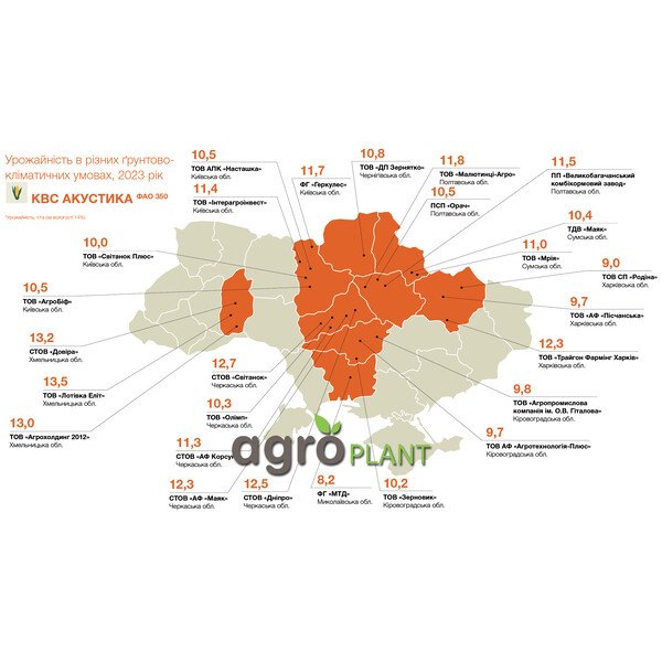 КВС Акустика – стабільний гібрид кукурудзи ФАО 350 з високою врожайністю в посушливих умовах