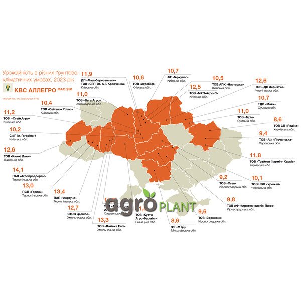 Кукурудза КВС Аллегро – ФАО 250, стабільний гібрид CLIMACONTROL для посушливих умов вирощування