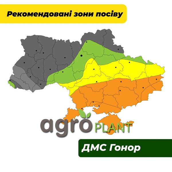 ДМС Гонор кукуруза