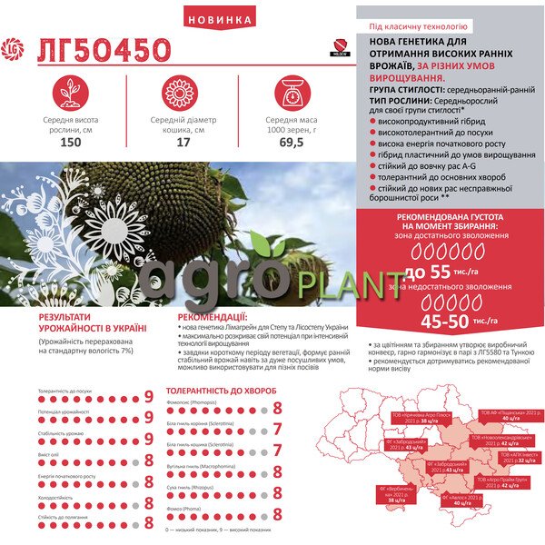 ЛГ 50450 подсолнечник