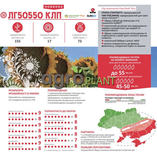ЛГ 50550 соняшник