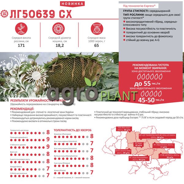 ЛГ50639 подсолнечник