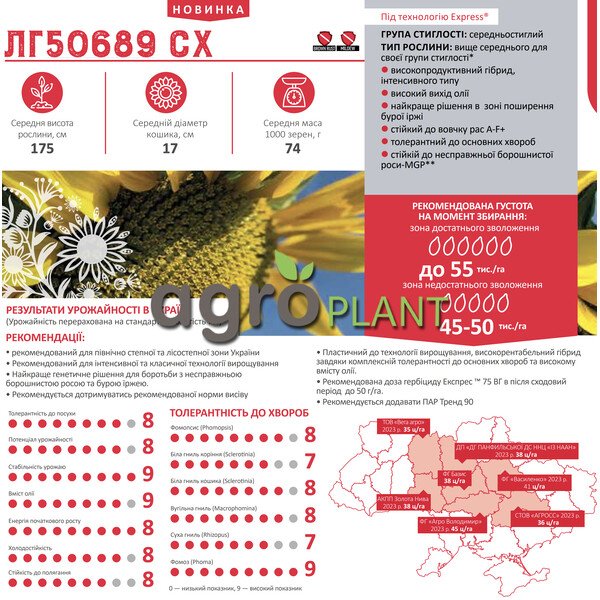 ЛГ 50689 подсолнечник