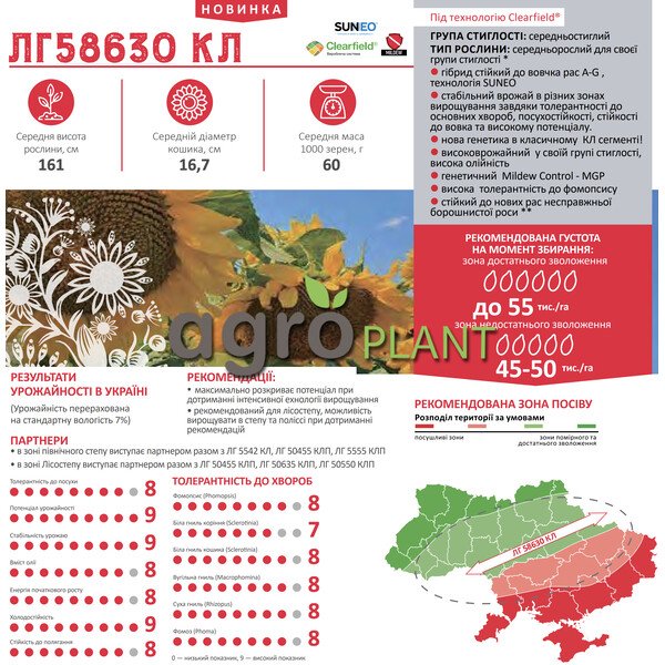 ЛГ 58630 соняшник