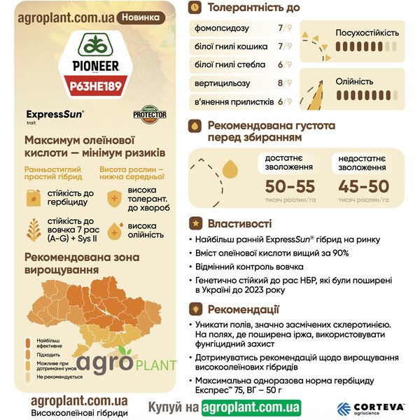 Соняшник Піонер 189 (П63ГЕ189) – ранньостиглий високоолеїновий ExpressSun® гібрид з >90% олеїнової кислоти