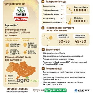 Соняшник П64ГЕ418