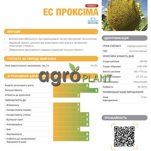 Соняшник Проксіма