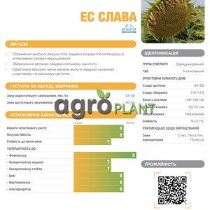 Слава
