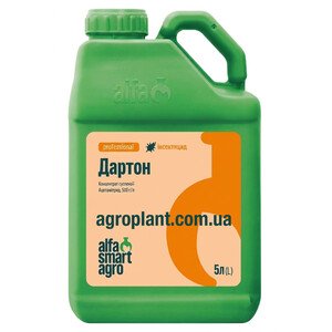 Дартон