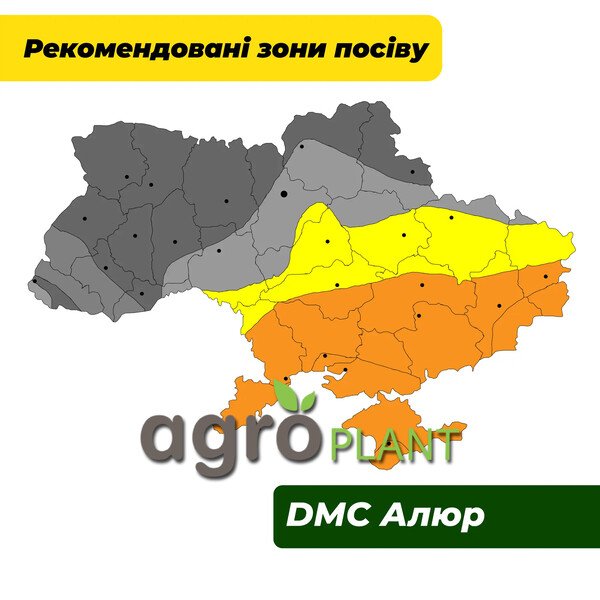 ДМС Алюр кукурудза