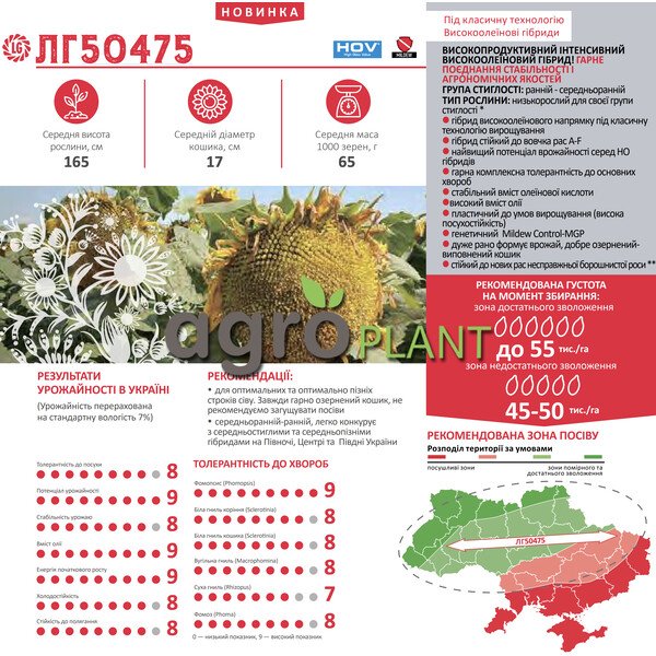 Соняшник ЛГ 50475 Лімагрейн