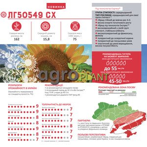 Соняшник ЛГ 50549