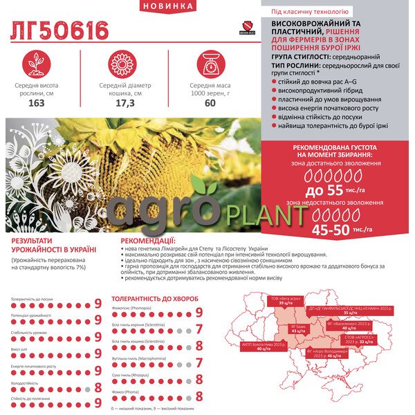 ЛГ 50616 соняшник
