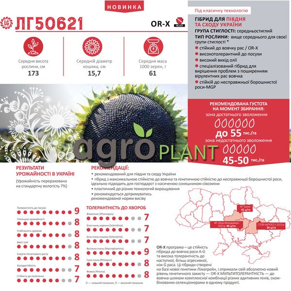 ЛГ 50621 соняшник