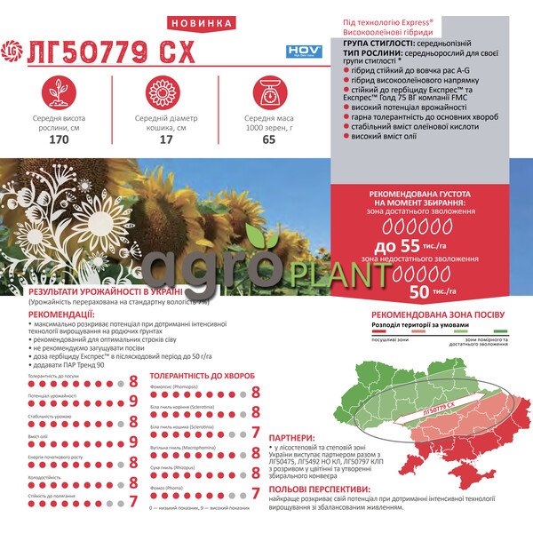 ЛГ 50779 соняшник