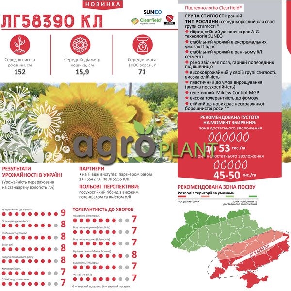 ЛГ 58390 соняшник