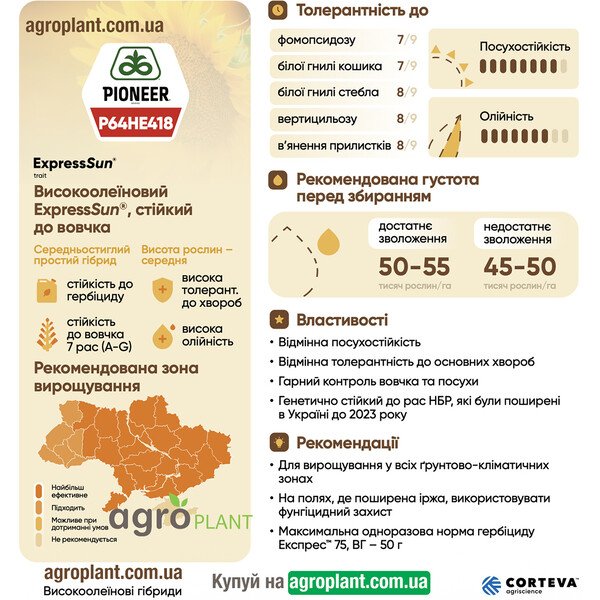 Подсолнечник Пионер 418 (P64HE418) – среднеспелый высокоолеиновый ExpressSun® гибрид, устойчивый к заразихе A–G