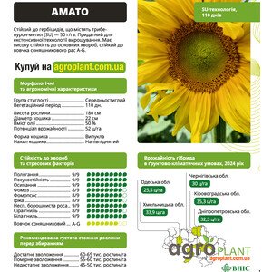 Амато