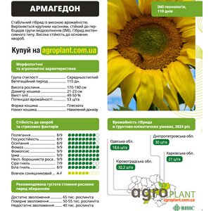 Армагедон