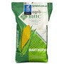 Мантикора