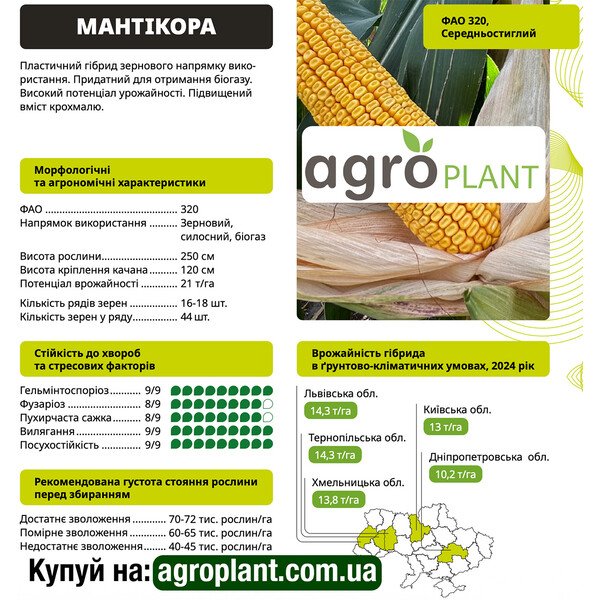 Кукуруза Мантикора ВНИС – универсальный гибрид ФАО 320 для зерна, силоса и биогаза