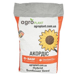 Соняшник Акордіс КЛП