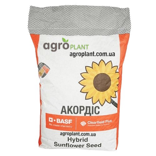 Подсолнечник Акордис КЛП – гибрид Clearfield® Plus с высокой урожайностью и устойчивостью