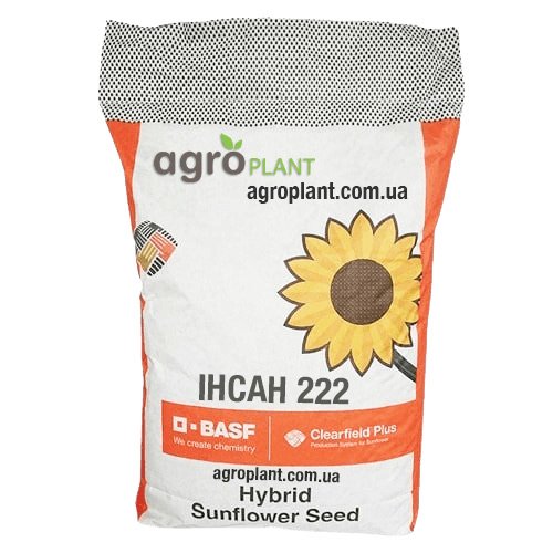 Соняшник Інсан 222 КЛП – середньостиглий гібрид BASF Clearfield® Plus з високою врожайністю