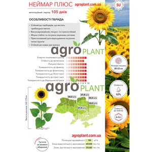 Соняшник Неймар плюс