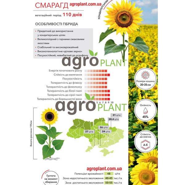 Смарагд соняшник – кондитерський гібрид Арт Агро для стабільної врожайності та великого зерна