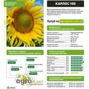 Карлос 105