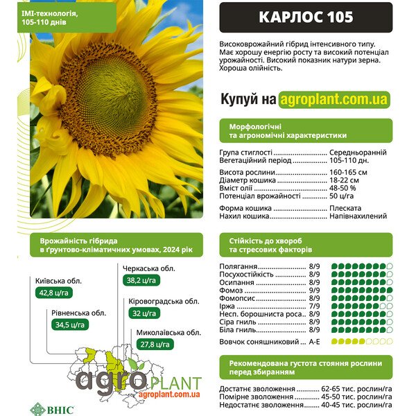 Соняшник Карлос 105 (ВНІС) – IMI, 105–110 днів, 48–50% олії
