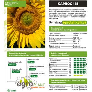Карлос 115