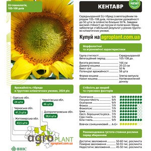 Кентавр