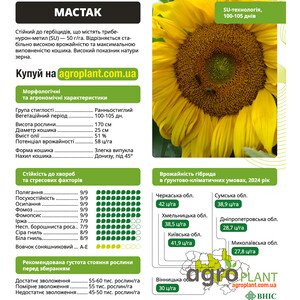 Мастак