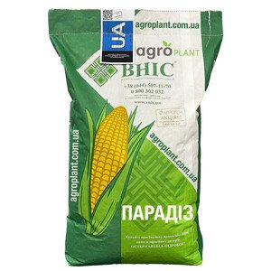 Парадиз