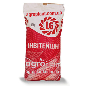 Кукурудза Інвітейшн