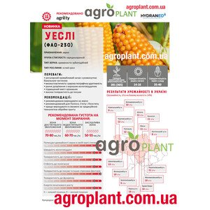 Кукурудза Уеслі