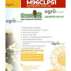 M96CLP51