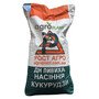 Кукурудза ДН Пивиха