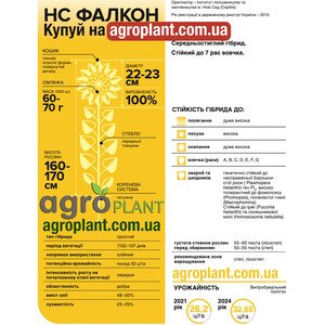 НС Фалкон