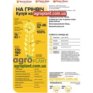 Гринвич