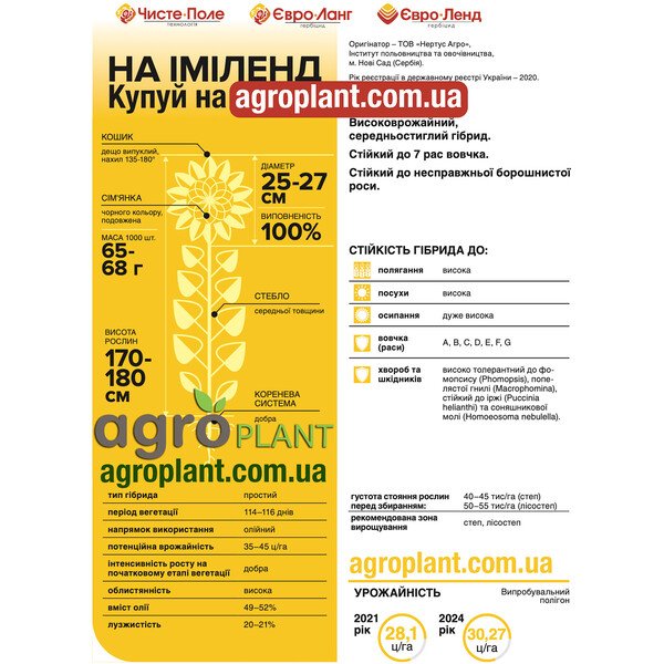 Подсолнечник НА Имиленд – Чистое поле гибрид с крупной корзинкой и устойчивостью к заразихе A–G